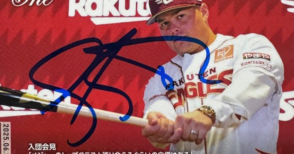 東京ヤクルトスワローズ 澤野聖怒選手実使用グローブ 東京ヤクルトスワローズ 澤野聖怒選手実使用グローブ - メルカリ