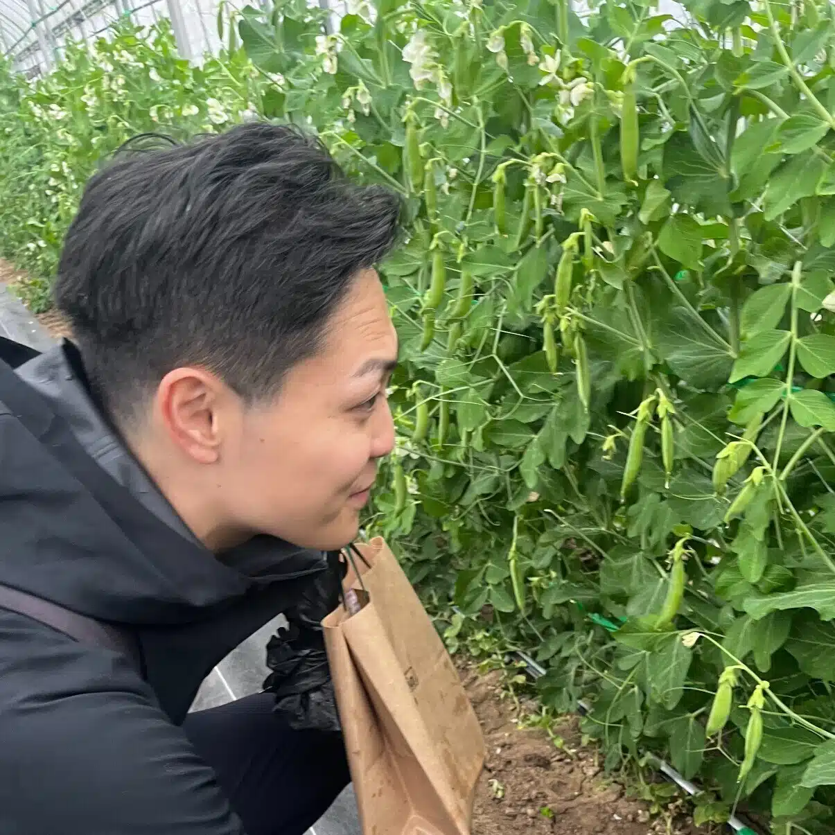 伊藤浩平/野菜ソムリエプロ