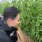 伊藤浩平/野菜ソムリエプロ
