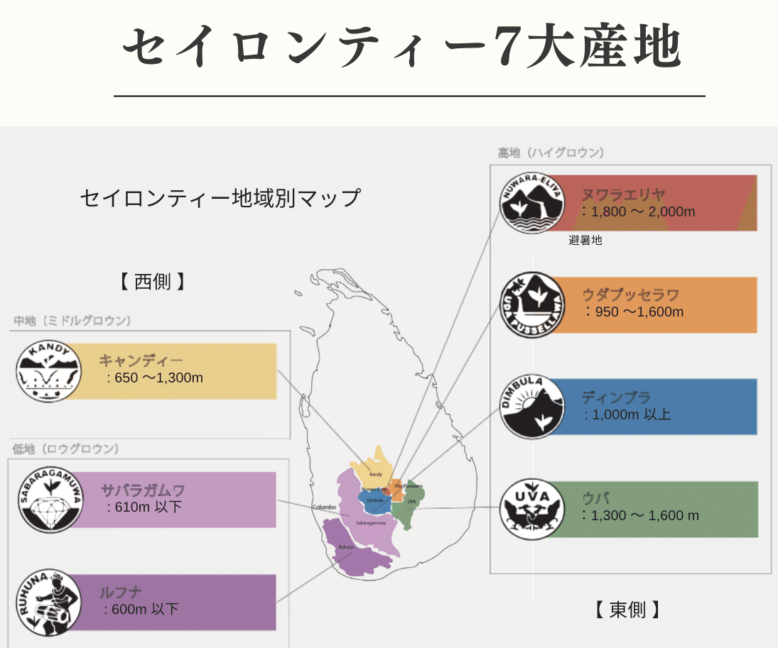 🌱紅茶ビジネスを始めて気づいた、