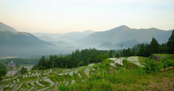 産地の価値を高め、次の世代に繋げる〜一戸町の奥中山高原レタス