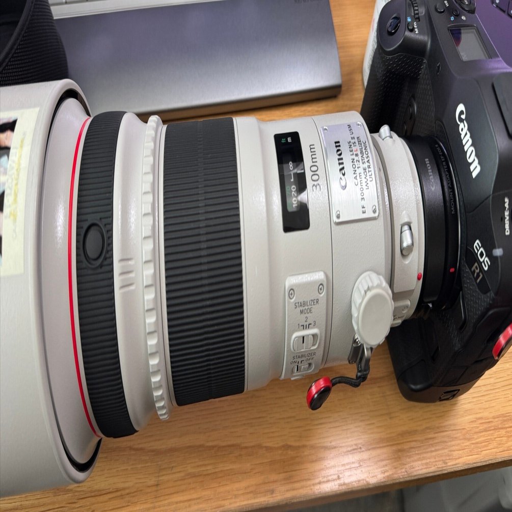 EF300mm F2.8L IS II USM｜タカシ