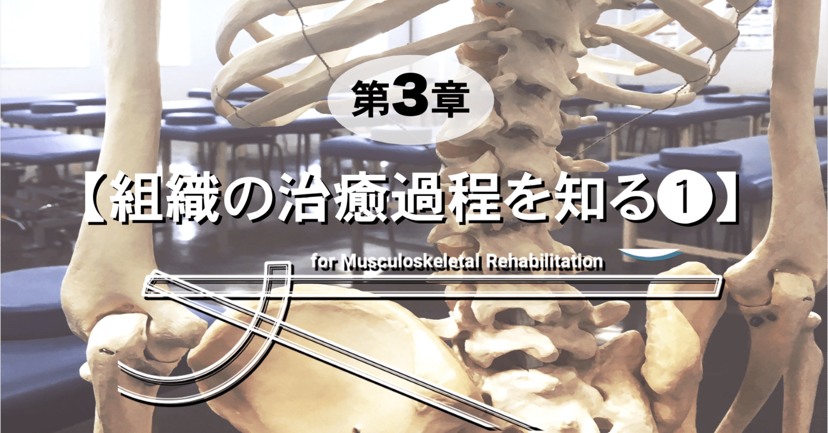 運動器リハ 1.0の教科書✏︎第3章【組織の治癒過程を知る①】｜かず