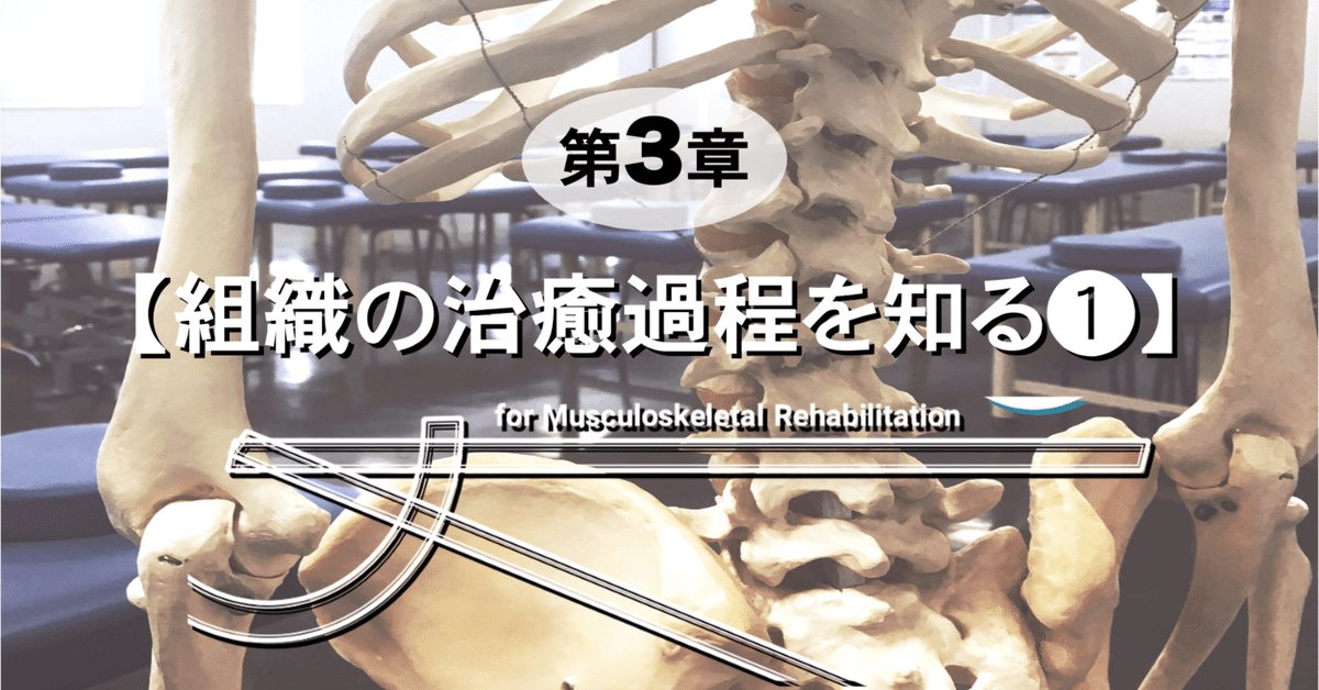 運動器 教科書 おすすめの教科書まとめ - 整形外科医のエコー診療日記