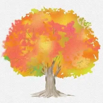 ☆colorfulLeaf☆