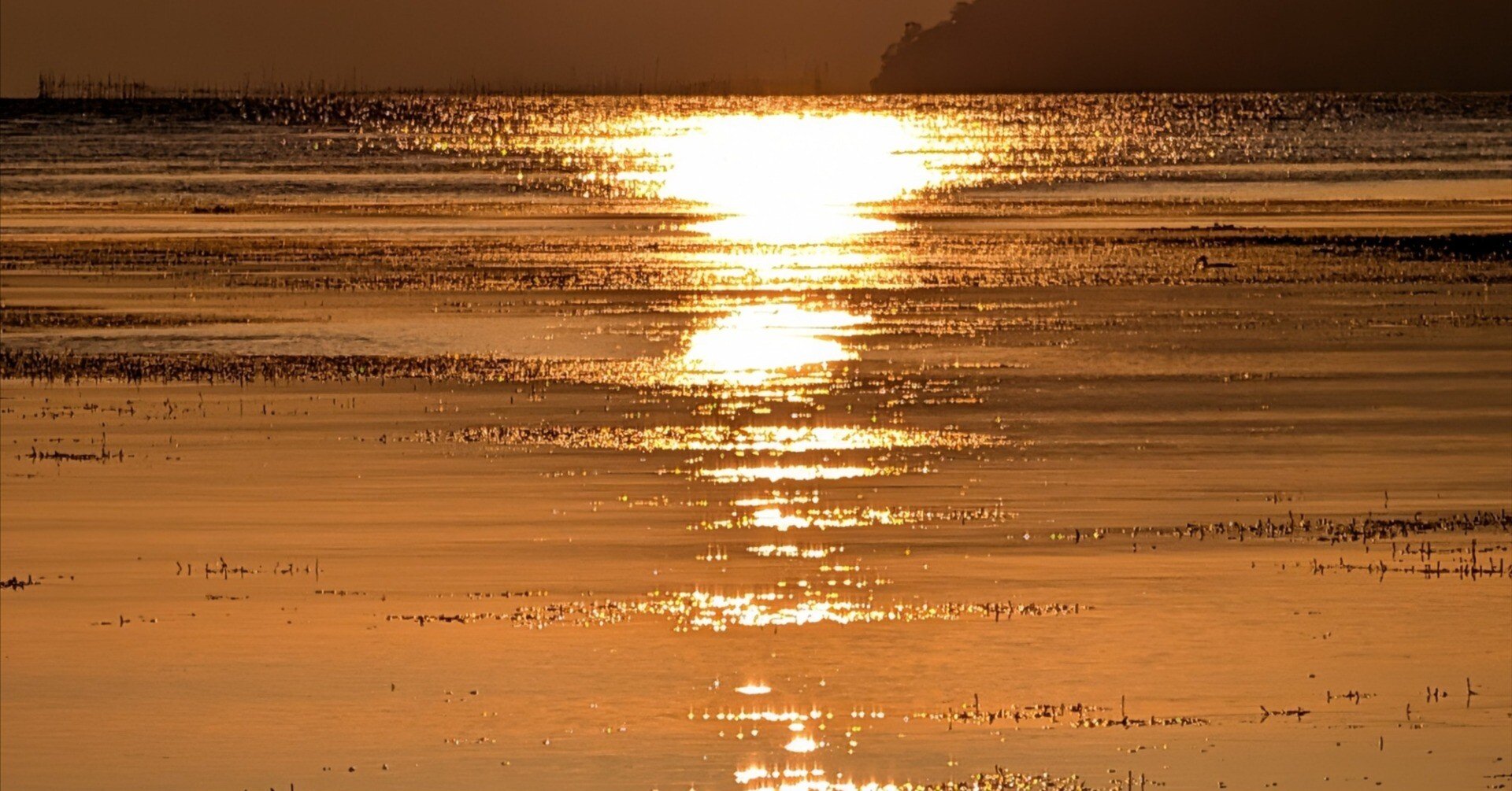 Pixel 10 Pro XLの超解像ズームで夕日の照り返しはどこまで補正される