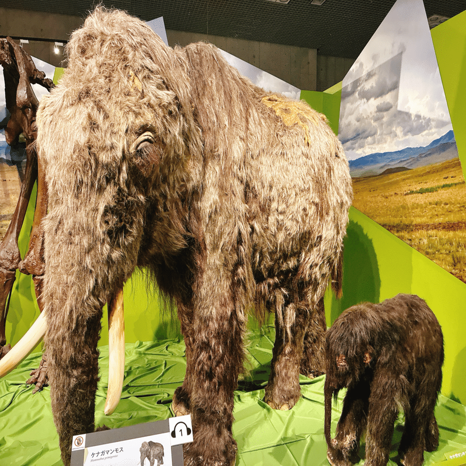 氷河期展｜kinacotraveller