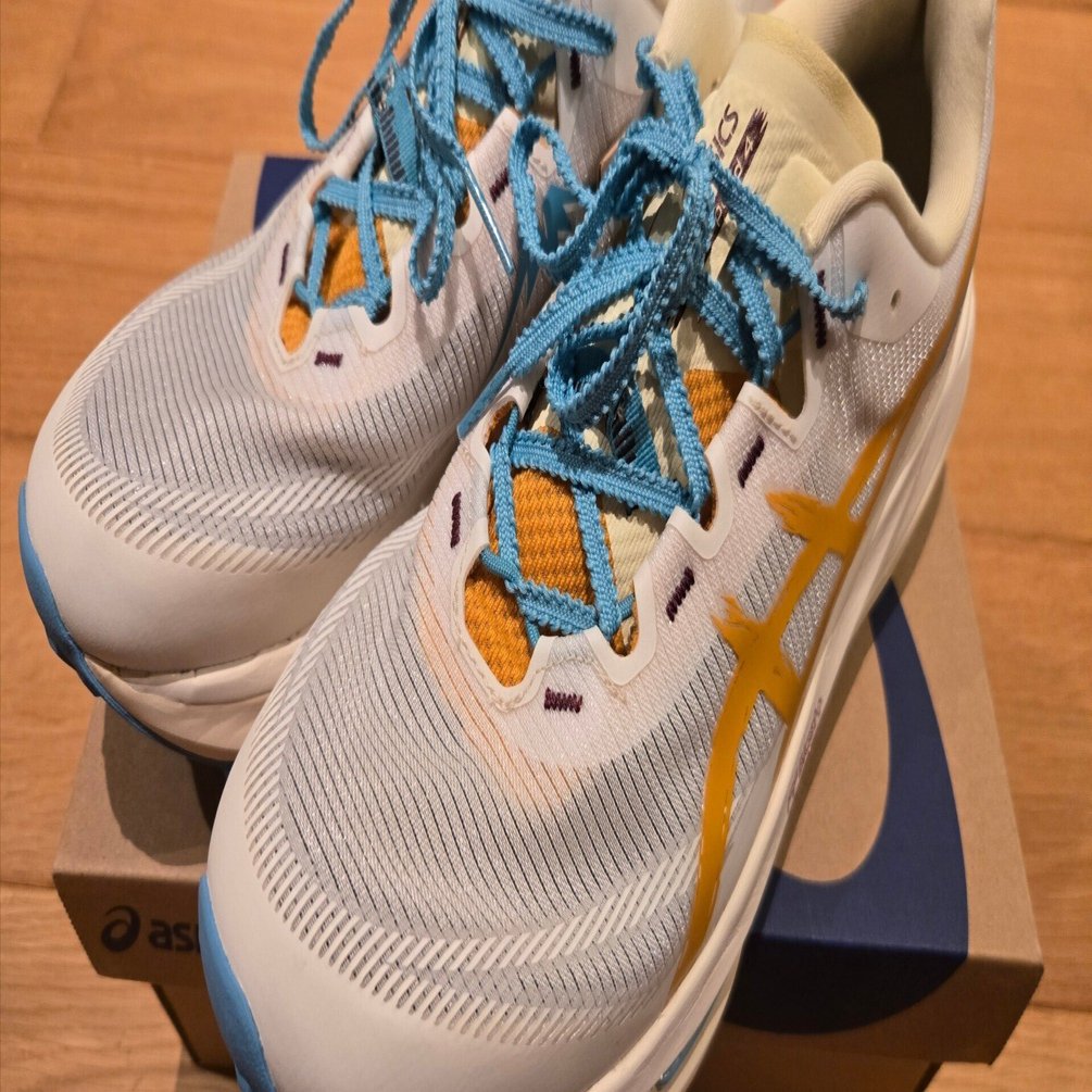 アシックス フジスピード4 シューズレビュー｜しがない鹿