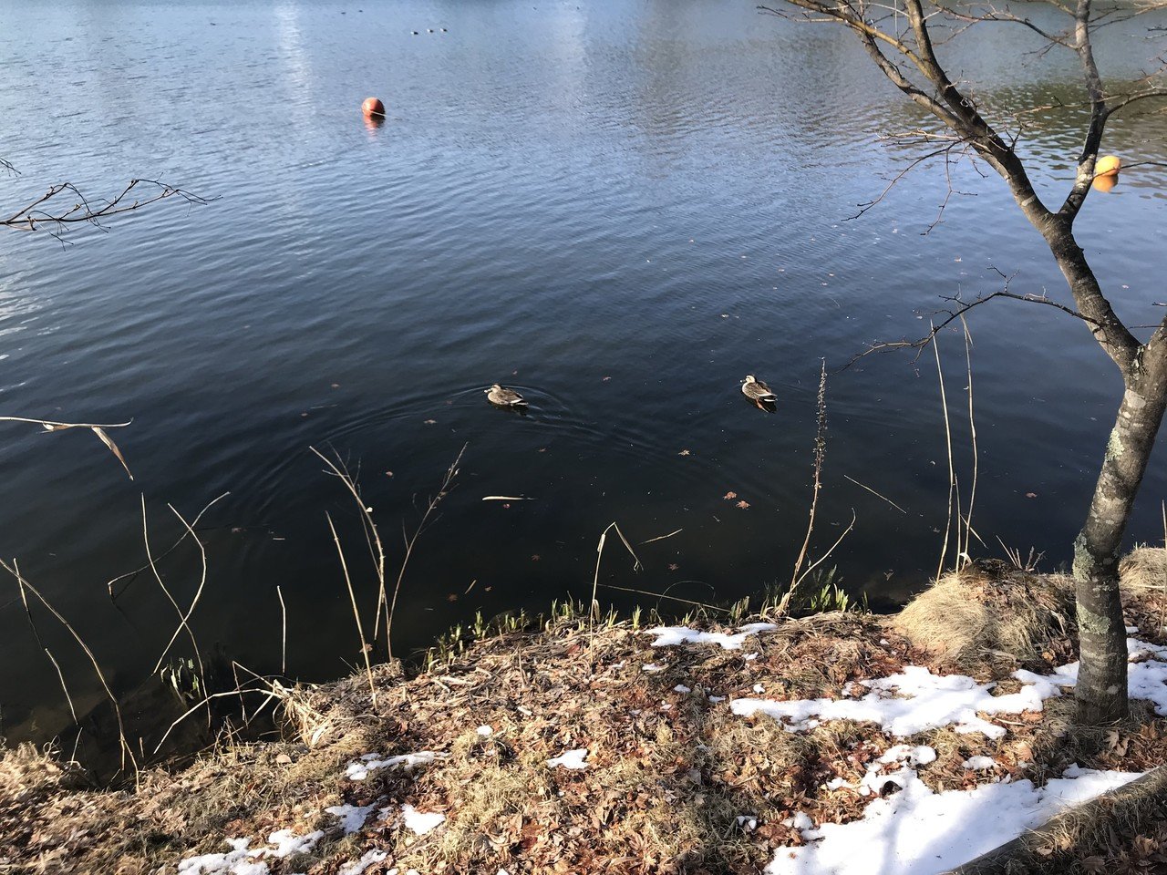 蓼の花オートキャンプ場2日目 Nakada Shugo Note