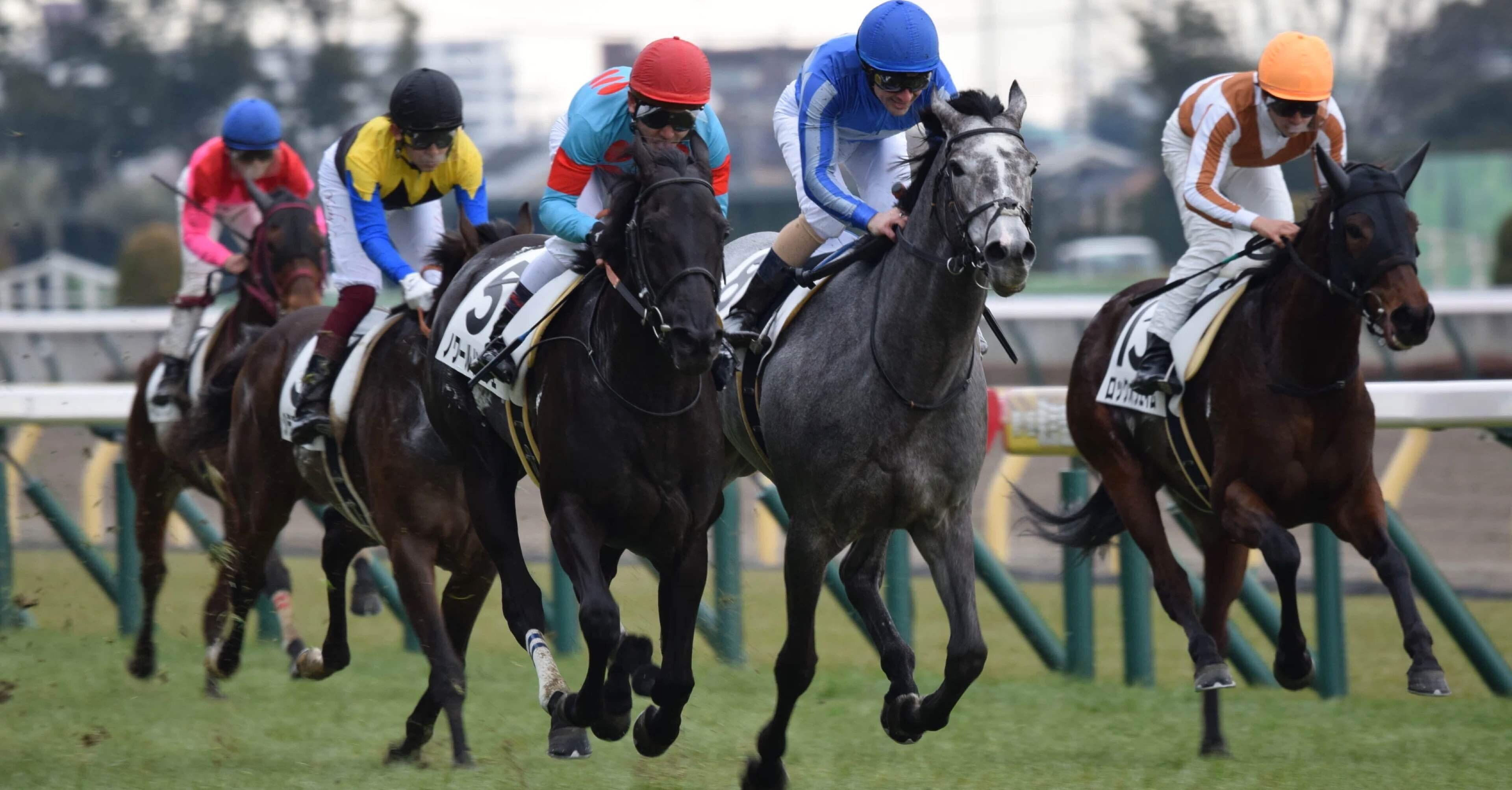 オルフェの単勝馬券勝負：中京9R編｜オルフェ