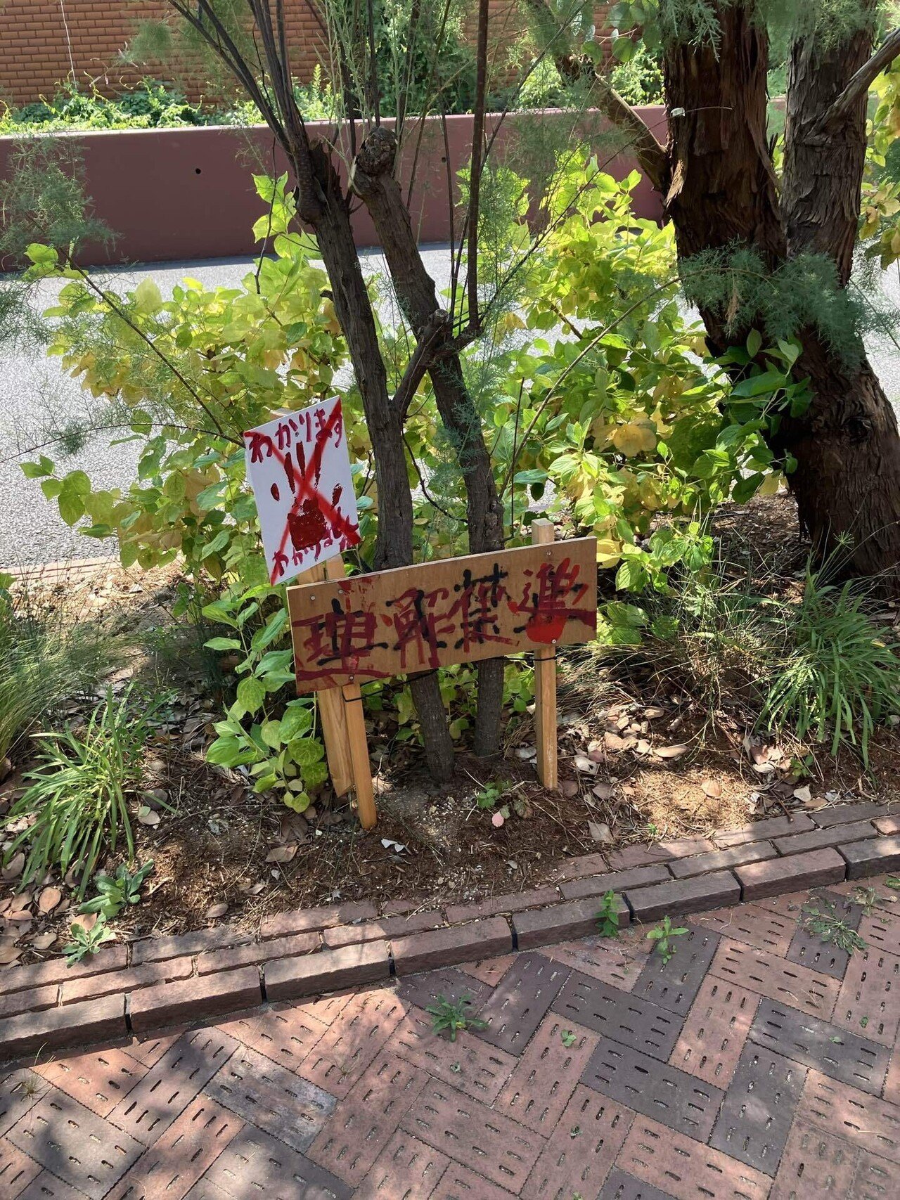 1999展｜たぴおか