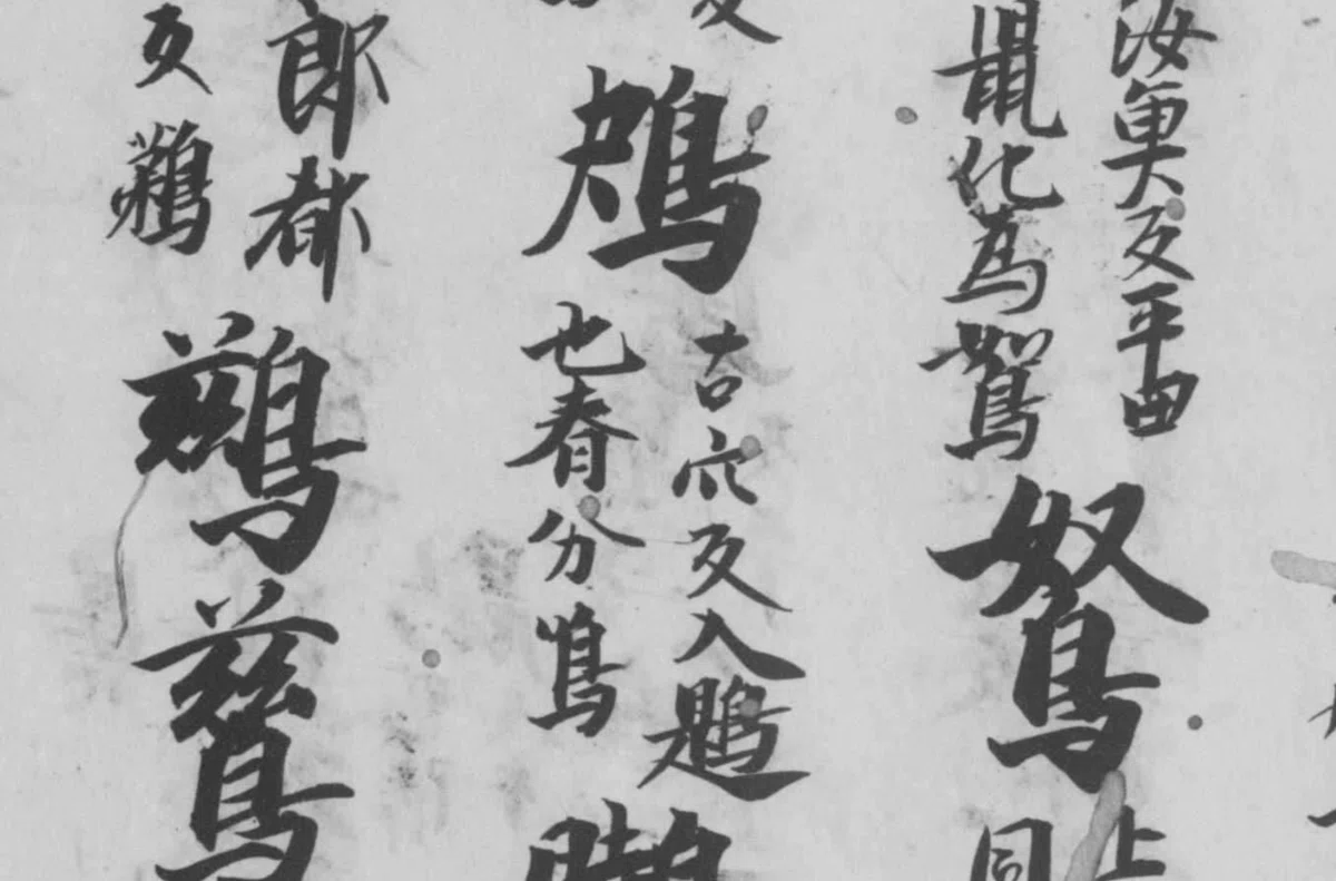 国字「くくわけなく」に関する雑考——「⿰𠂢鳥」も兼ねて｜白玉庵