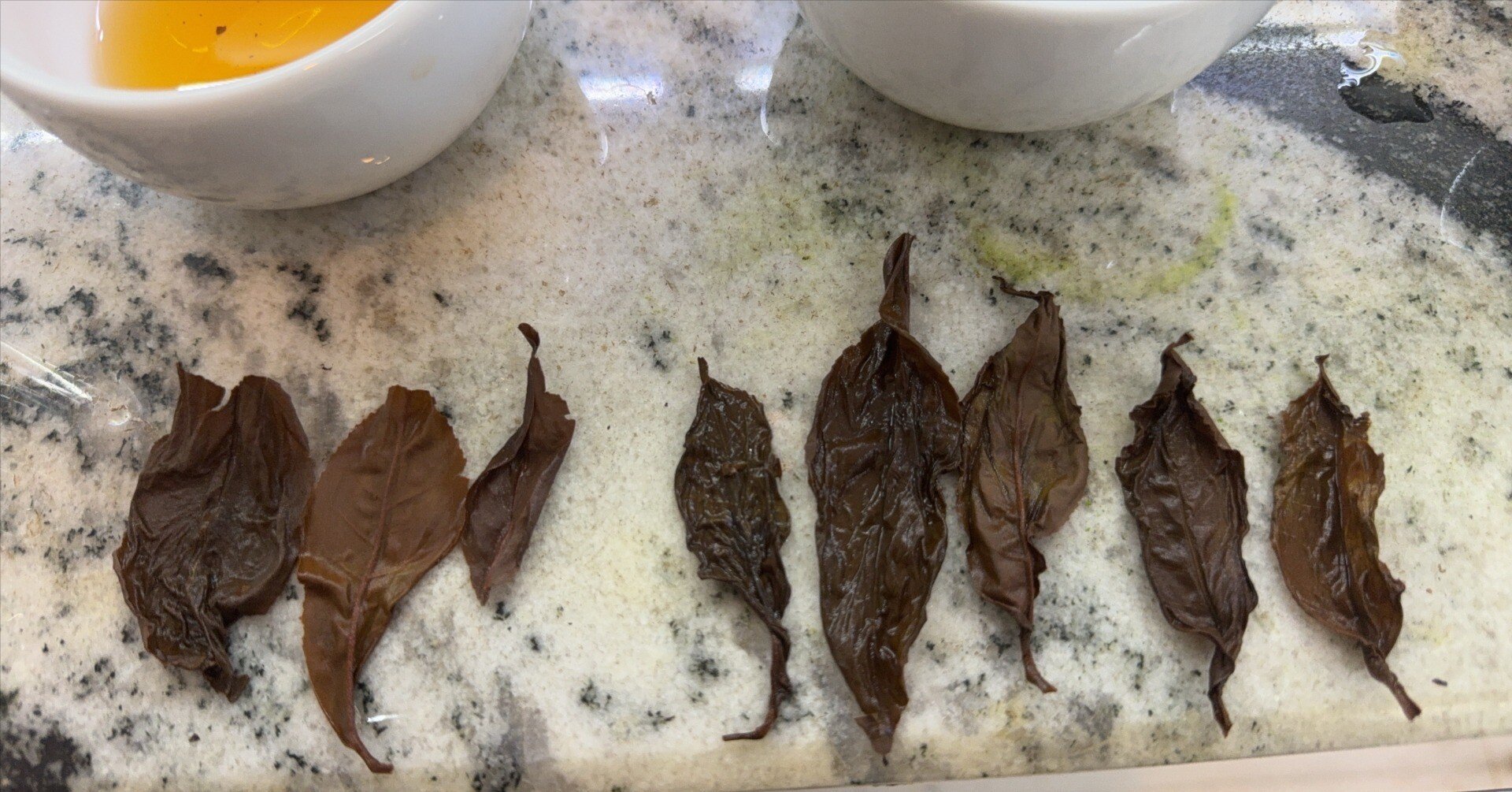 🌱紅茶ビジネスを始めて気づいた、