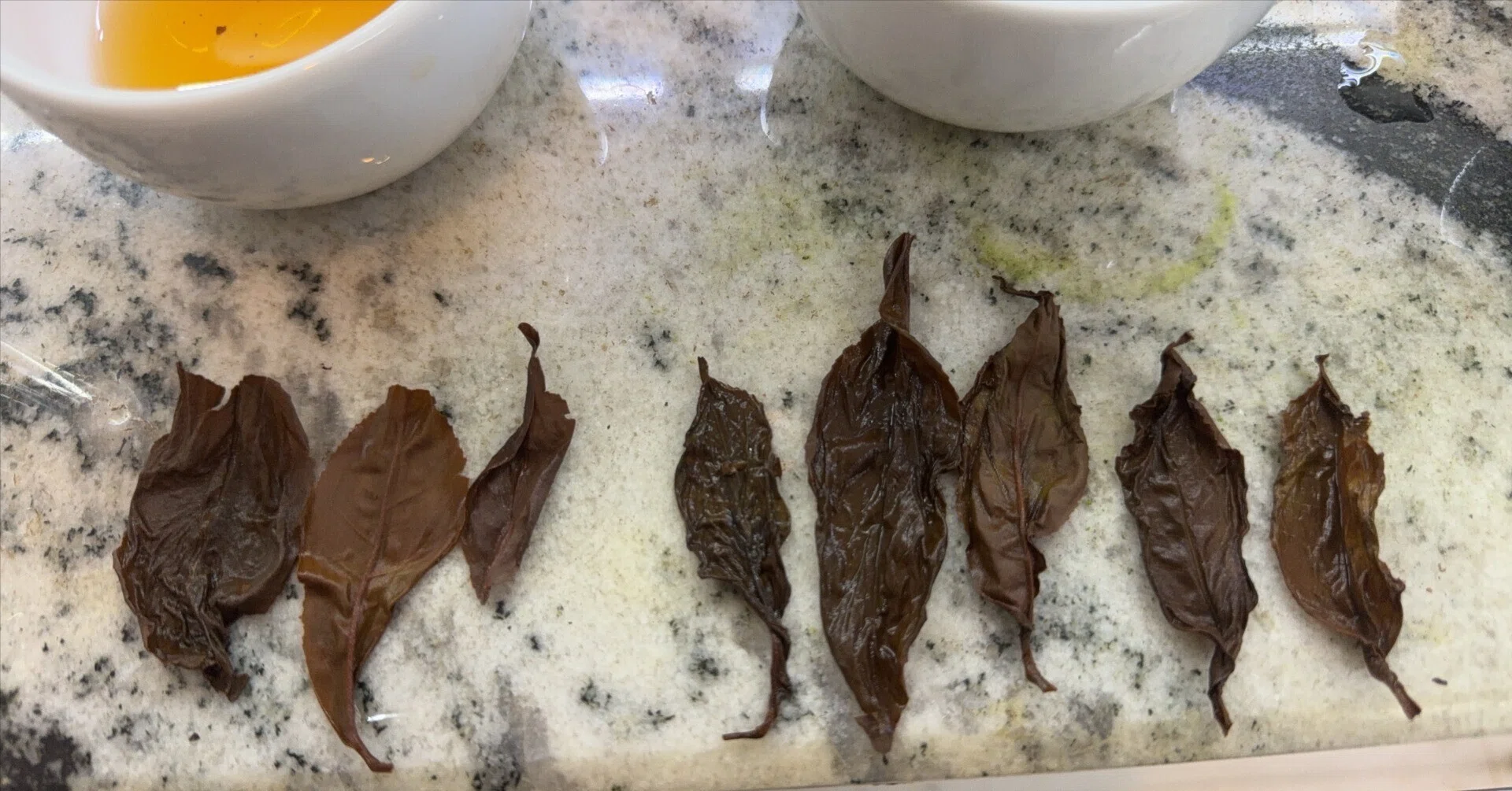 🌱紅茶ビジネスを始めて気づいた、