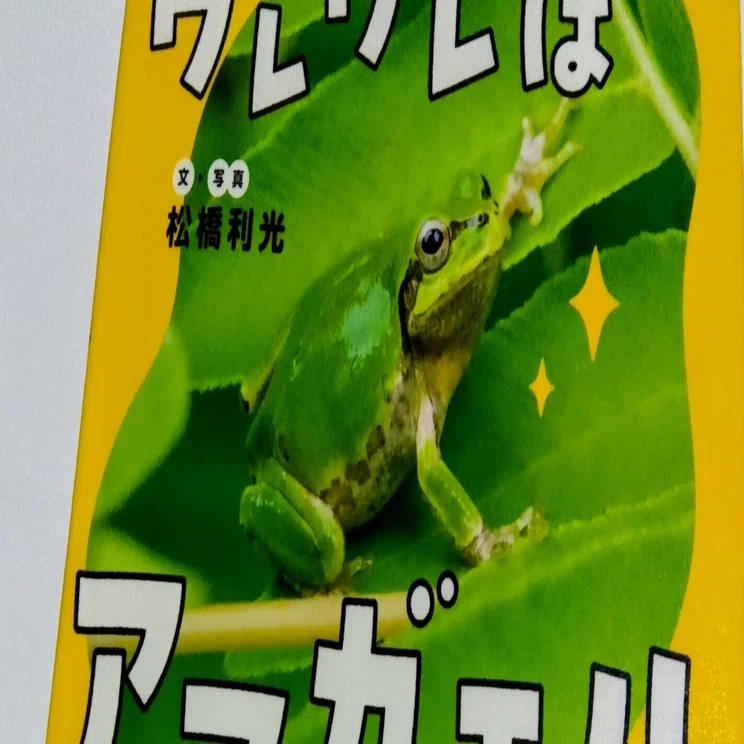 課題図書2025『ワレワレはアマガエル』（小・低）で読書感想文を書く