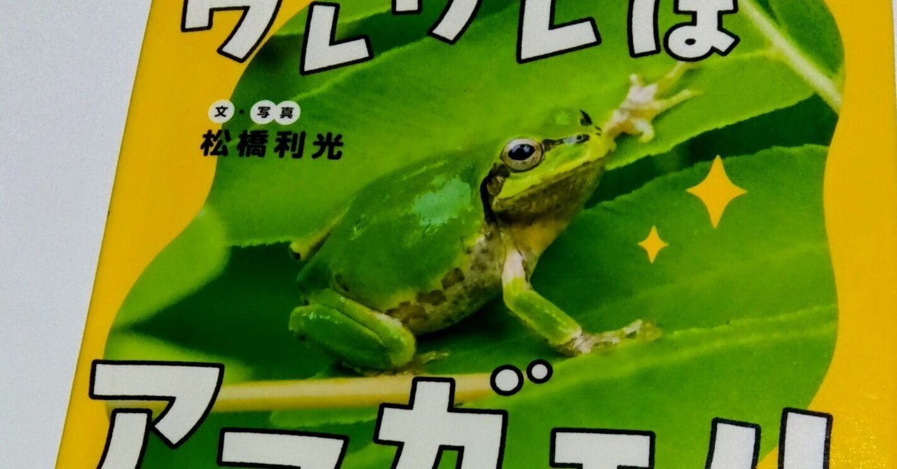 課題図書2025『ワレワレはアマガエル』（小・低）で読書感想文を書く