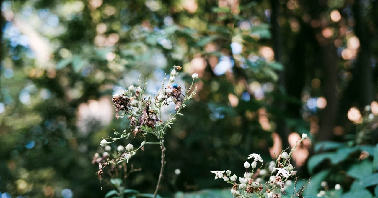 One Roll｜sgk