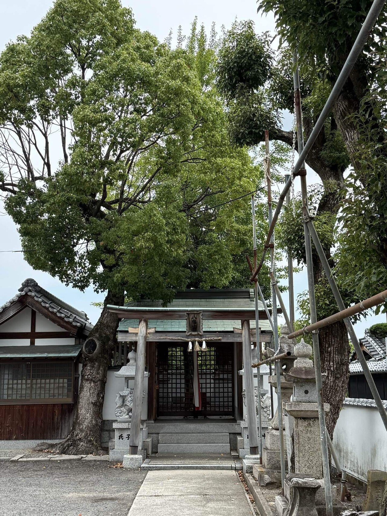 5480 八幡宮 大阪府大阪狭山市茱萸木｜日本中全ての神社に参拝しようと