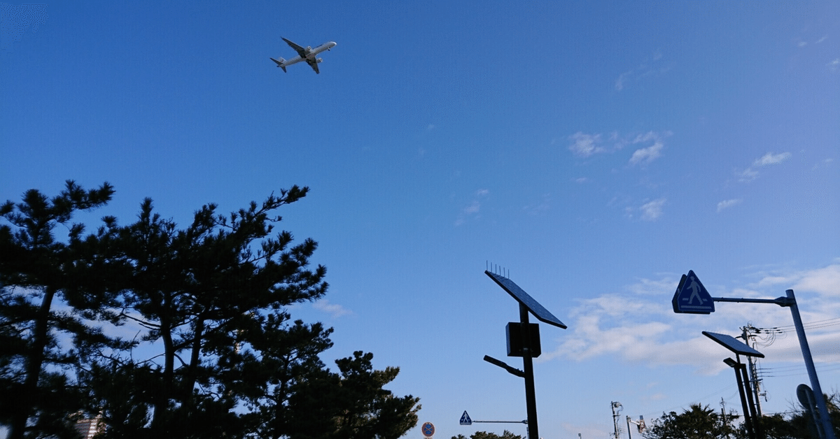 400点もの特産品が勢揃い！南紀白浜空港「和歌山セレクト」で