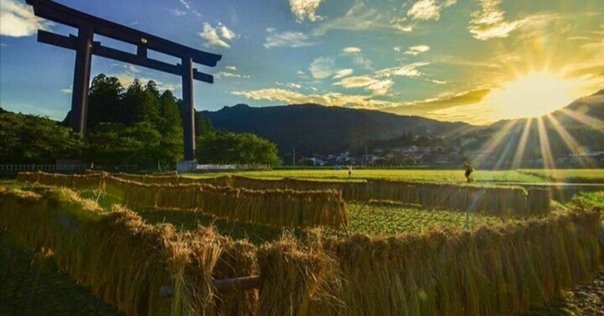 田中義一（たなかぎいち） 拙者の履歴書【幕末編】 Vol.55～軍人