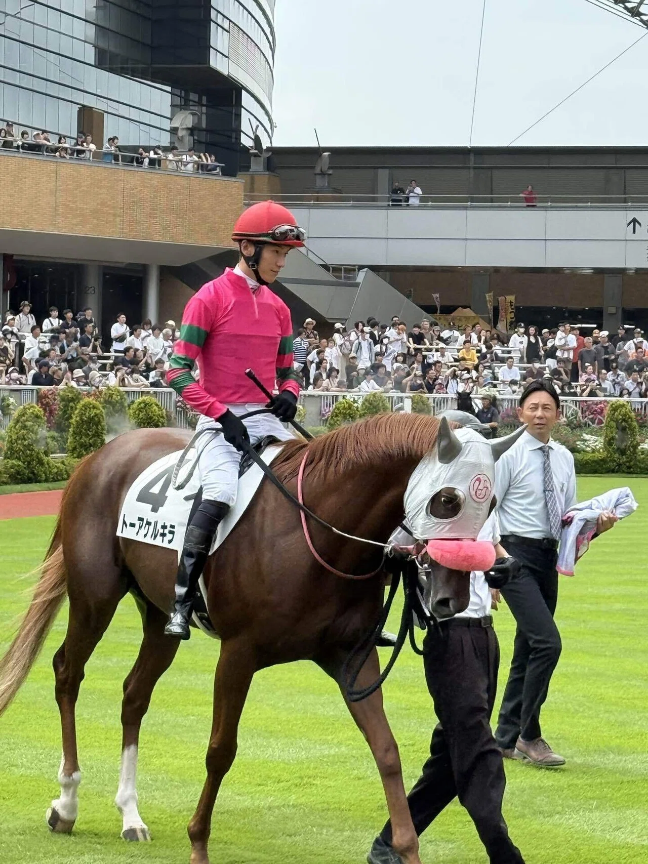 坂井瑠星騎手を追って、新潟競馬場へ！〜しらんけど〜｜ばりきのさら