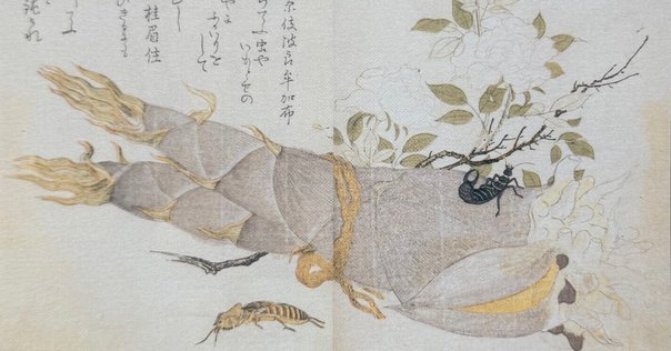 田能村竹田　彩色画賛　　【　天　祖　神　勅　画　】　佐竹永陵極め箱　稀有品 なぜ、バラバラに？ 幻の秘宝絵巻「佐竹本三十六歌仙絵」が奇跡