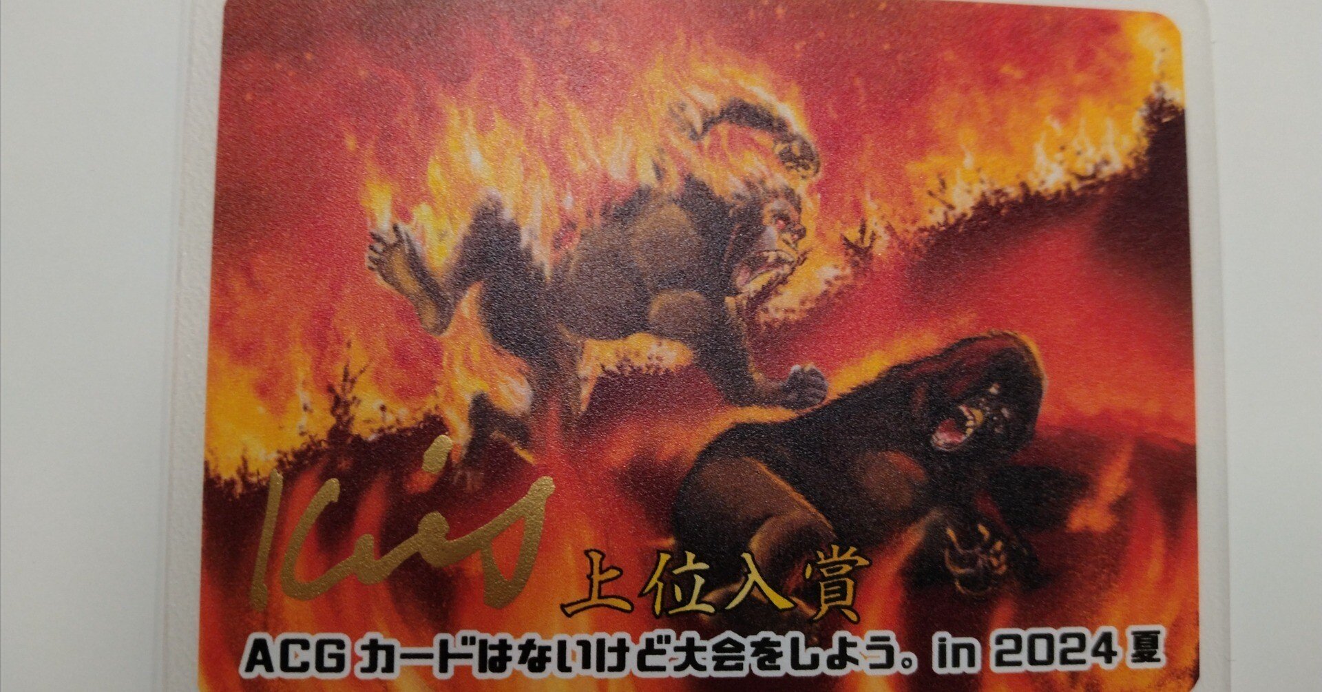 DNAブログ:大阪ファンミーティングレポ(P.P)｜DNAの呟き。