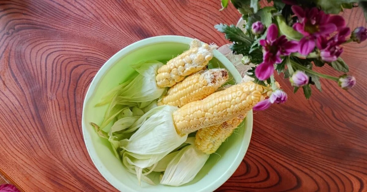 R7年産 葡萄蔓6k R7年産葡萄蔓3k A-TECH : Under Cowl [Y36011-B]