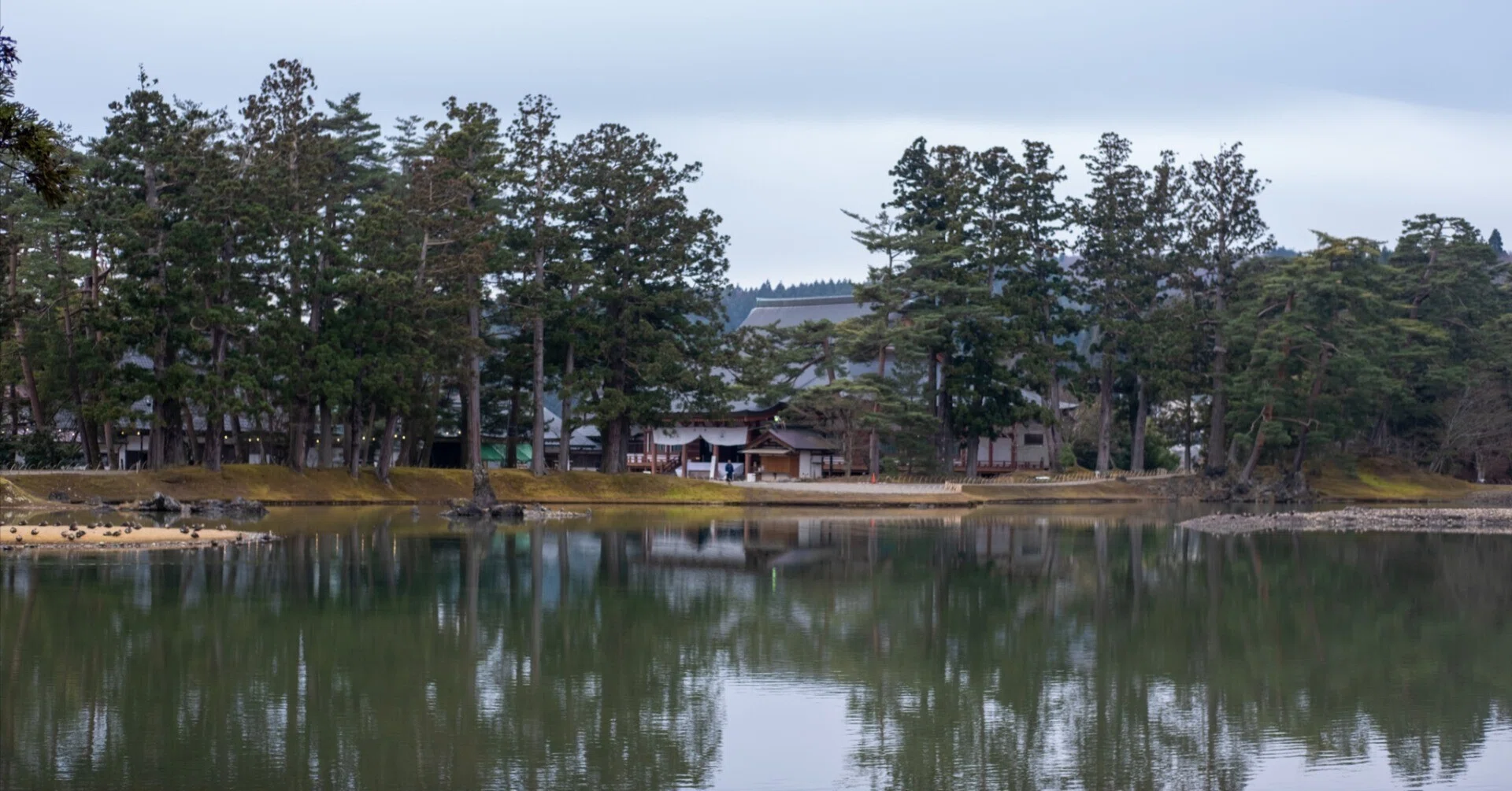 いまさら】#22 おそらく写真で感動が伝わらない場所第1位〜毛越寺〜｜Shima