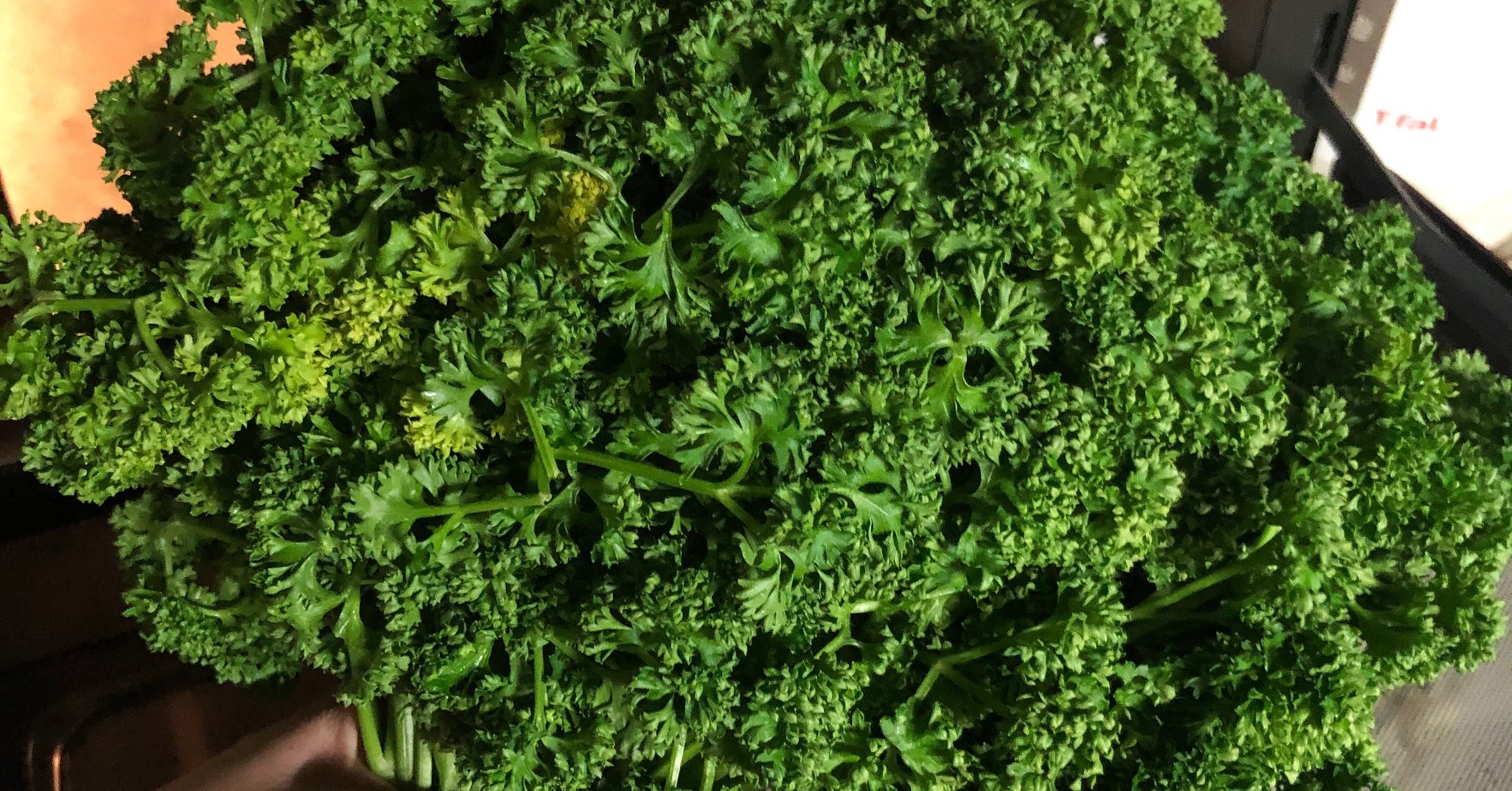 もっさもさのパセリを手に入れたら ドライパセリの作り方 古谷 真知子 家庭料理コンサルタント Note もっさもさのパセリを手に入れたら ドライパセリの作り方 古谷 真知子 家庭料理コンサルタント Note