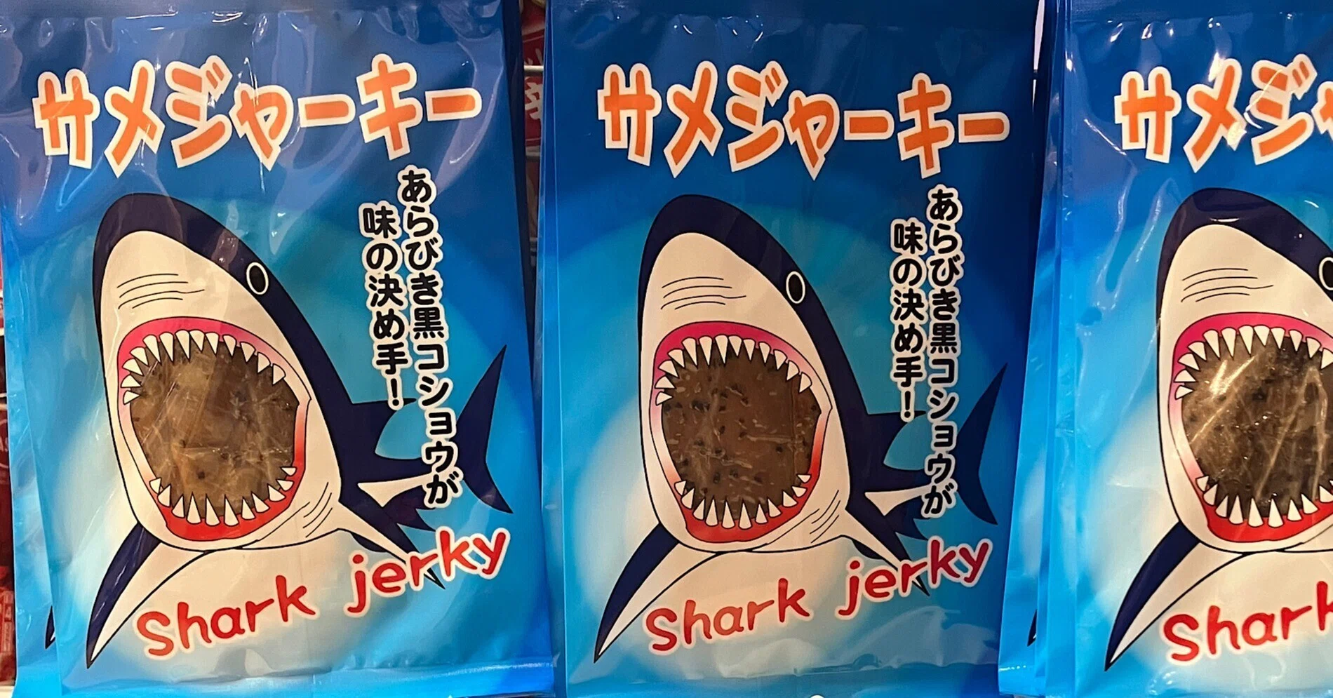 167.パーキングエリアで見つけた珍味「サメジャーキー」｜松井沙帆