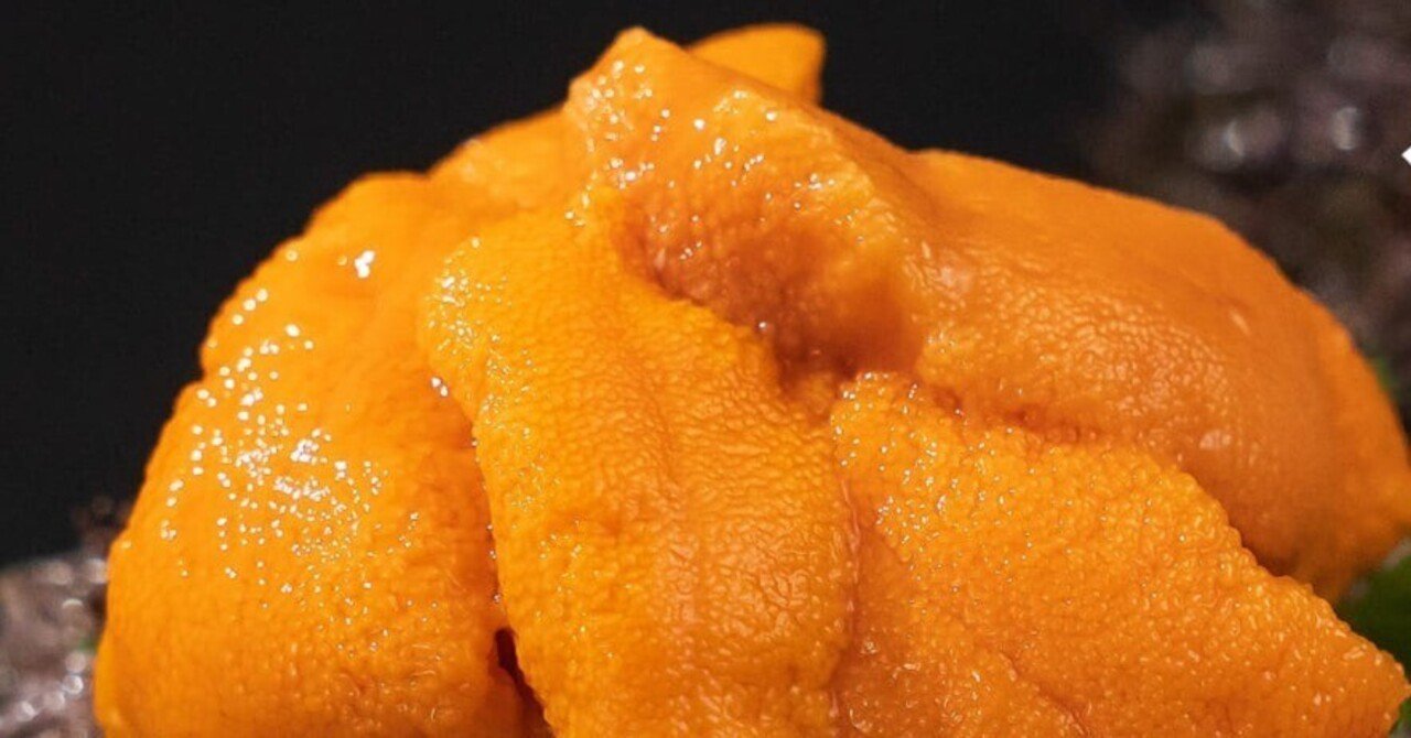 ふるさと納税 伊達市 北海道 噴火湾産 塩水 バフンウニ 100g×5パック 計500g