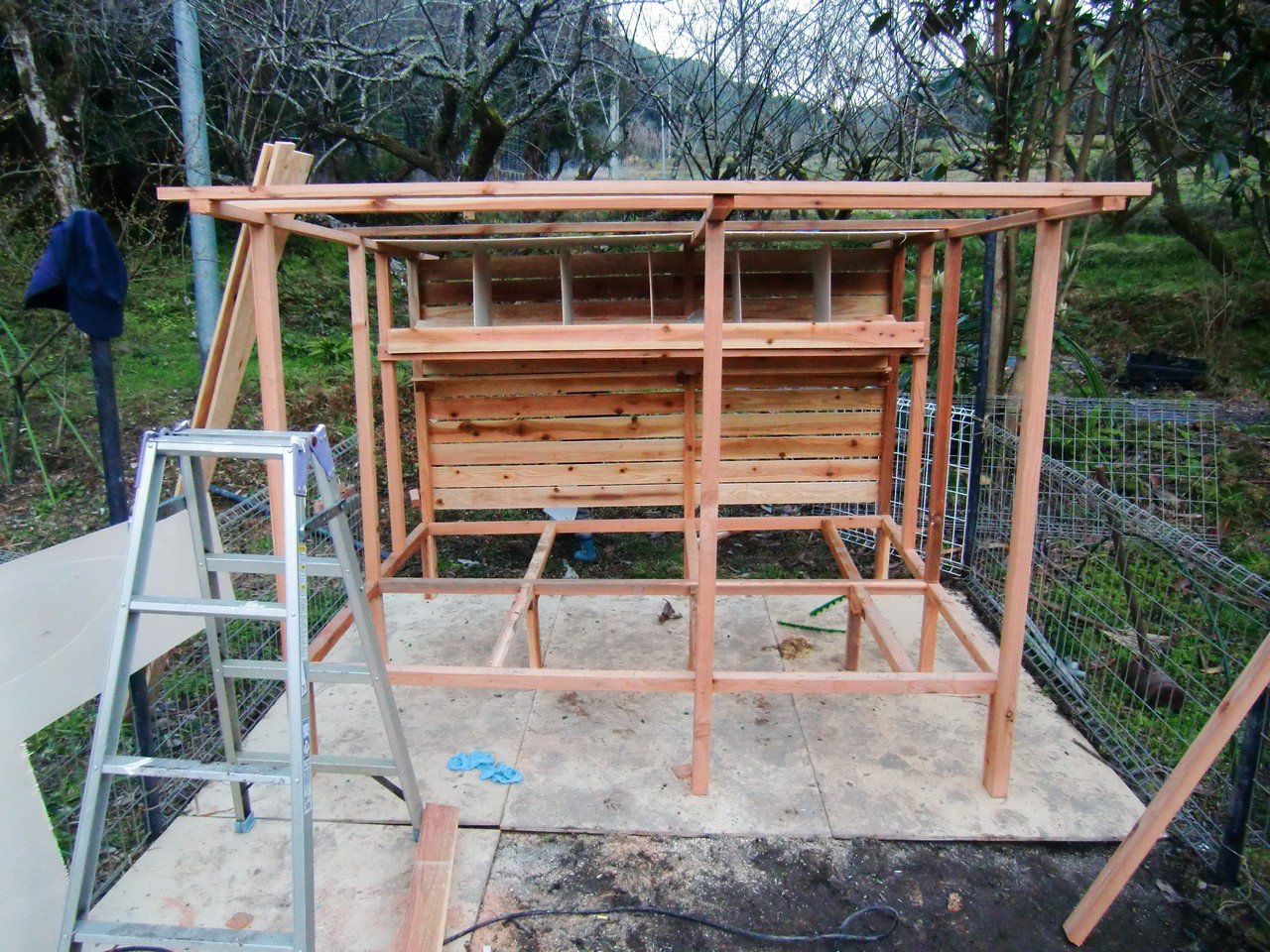 自作の鶏小屋にチャレンジ ラボン Note
