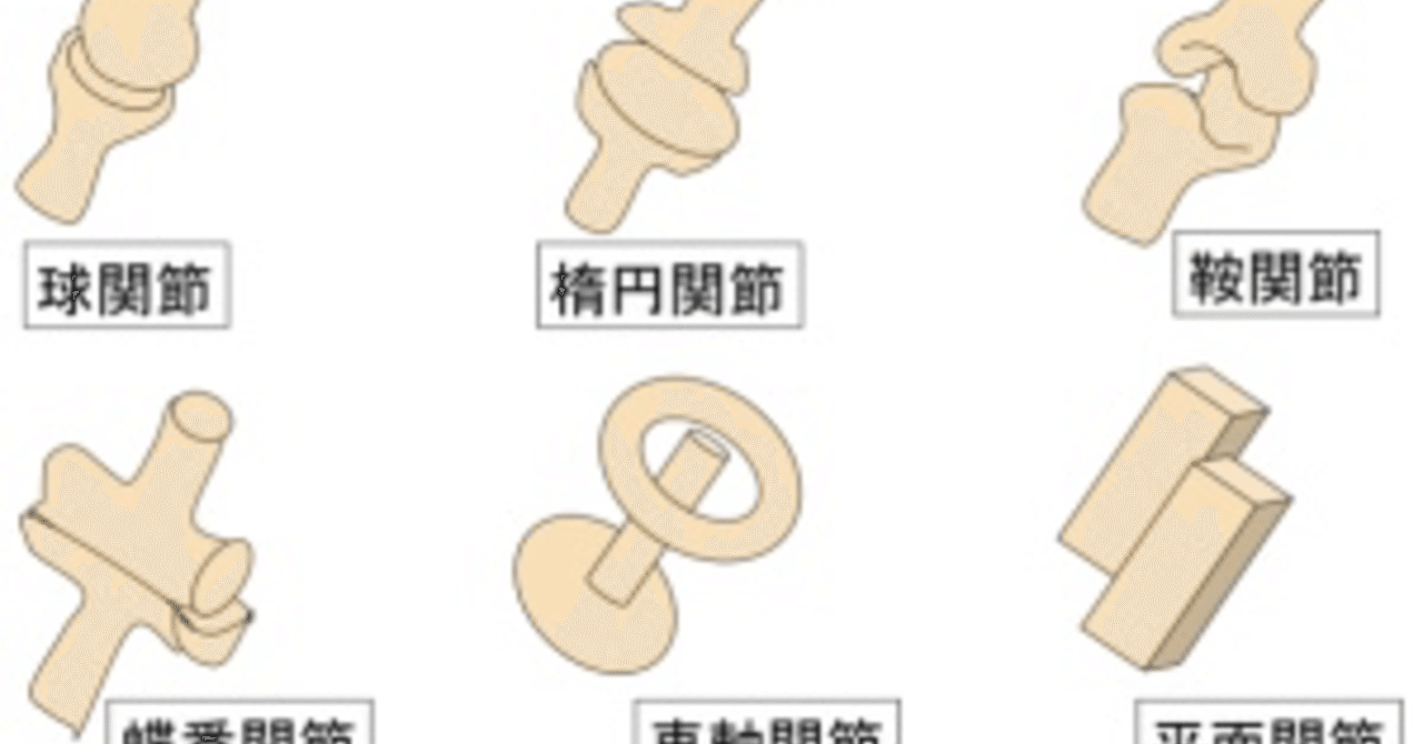 らせん 関節 関節 らせん