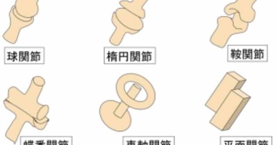 これを見るだけで関節が分かる しょー 医療系 筋トレ ランナー