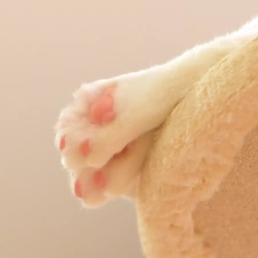 みなてぃ