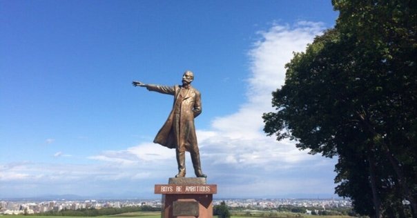 カンカラコモデケアの問題点｜喜多野土竜