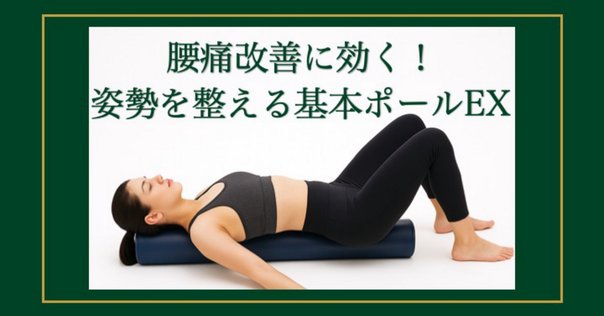 【定価1万円】StretchPole® ネイビー✨姿勢改善・肩こり腰痛ケア 定価1万円】StretchPole® ネイビー✨姿勢改善・肩こり腰痛ケア
