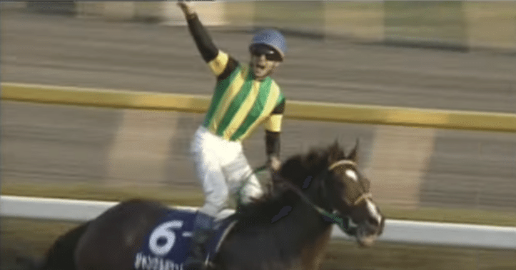 菊花賞からジャパンカップに出走した3歳馬の成績とその後の成績｜ぱねす