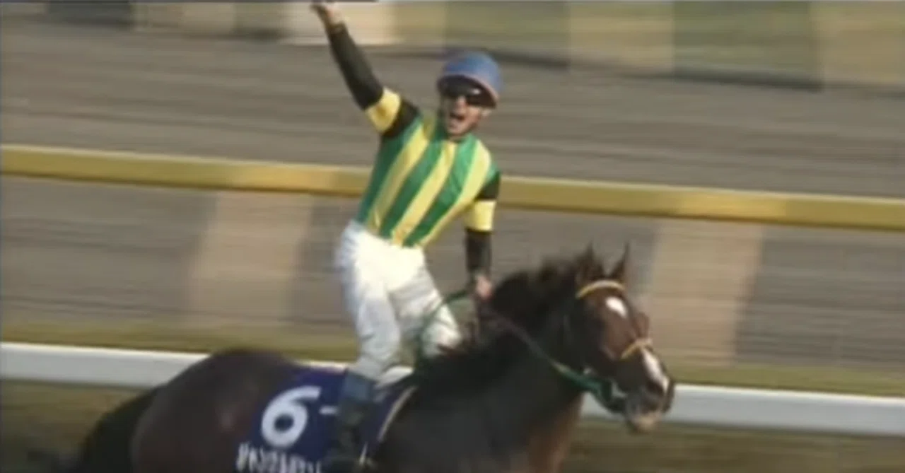菊花賞からジャパンカップに出走した3歳馬の成績とその後の成績｜ぱねす