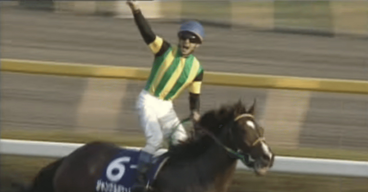 菊花賞からジャパンカップに出走した3歳馬の成績とその後の成績｜ぱねす