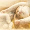 miki｜猫好きHSP