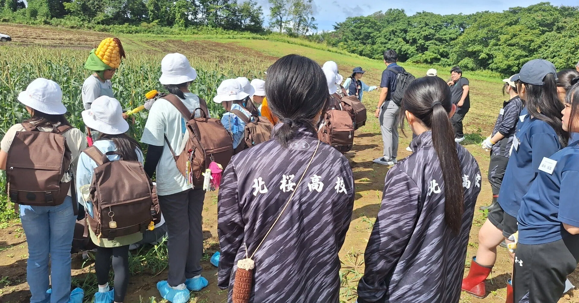 2025-059】一戸の魅力満載！とうもろこし収穫体験ボランティア《総合