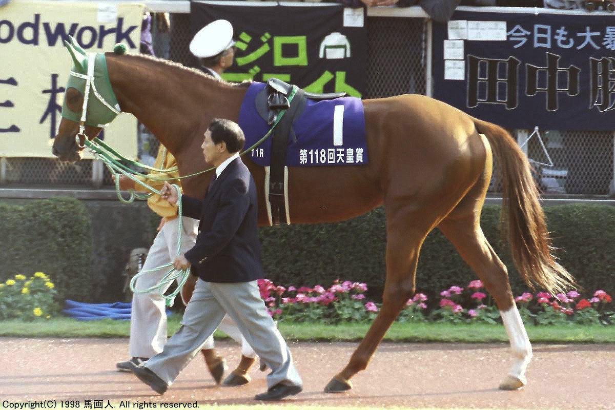 パンサラッサ 天皇賞・秋 馬券 - その他