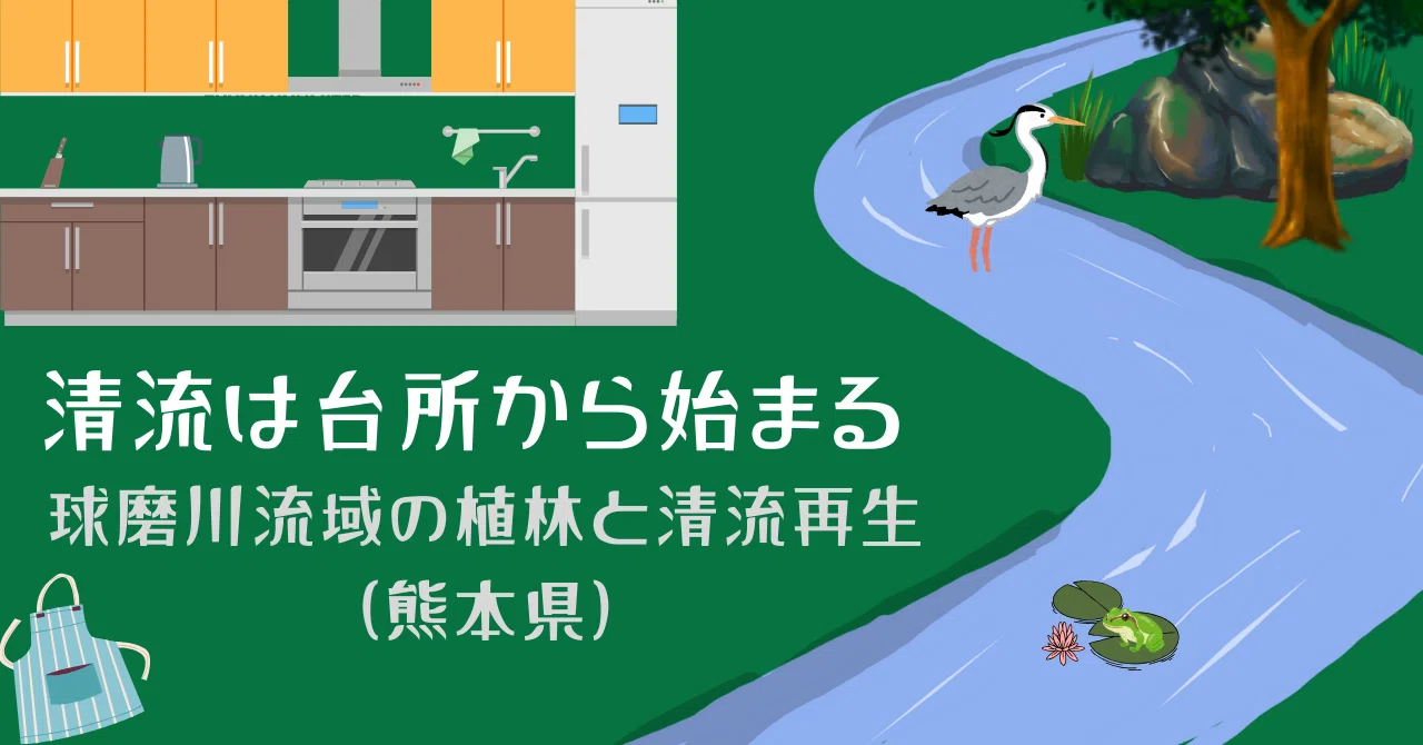 Clear Streams Begin in the Kitchen | Afforestation and Clear Stream ...