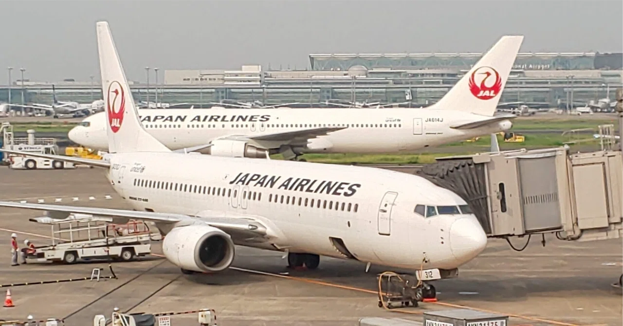 税理士と新人経理ミカの「長期為替予約とJALの教訓」実務カフェ講座 ☕🛫💱｜経営デザイン 高木会計事務所