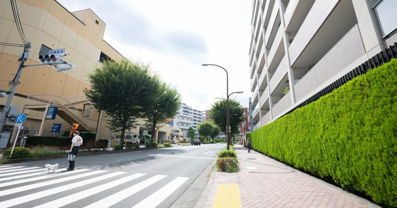 How many steps should you walk a day?｜園田クリニック