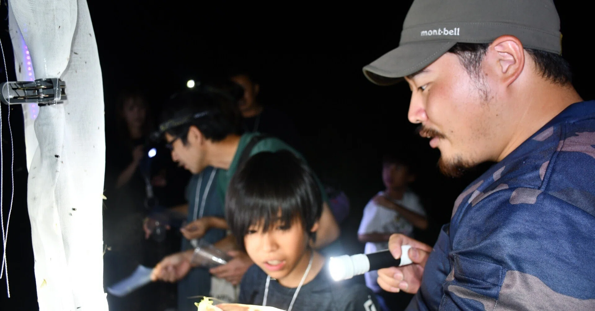 夏休み特別企画 ライトトラップイベントの裏側を紹介します。｜奥大山