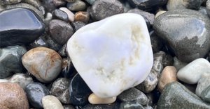 夏枯れの海で、妖精ラベンダーとコン沢と青に会えた奇跡。（翡翠を探す