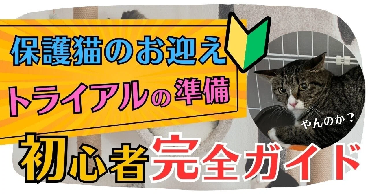 保護猫トライアル！これでバッチリお迎え準備』 #保護猫ルルちゃんと